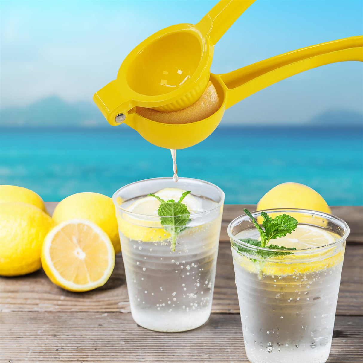 Metal Lemon Squeezer by GEEZY - UKBuyZone