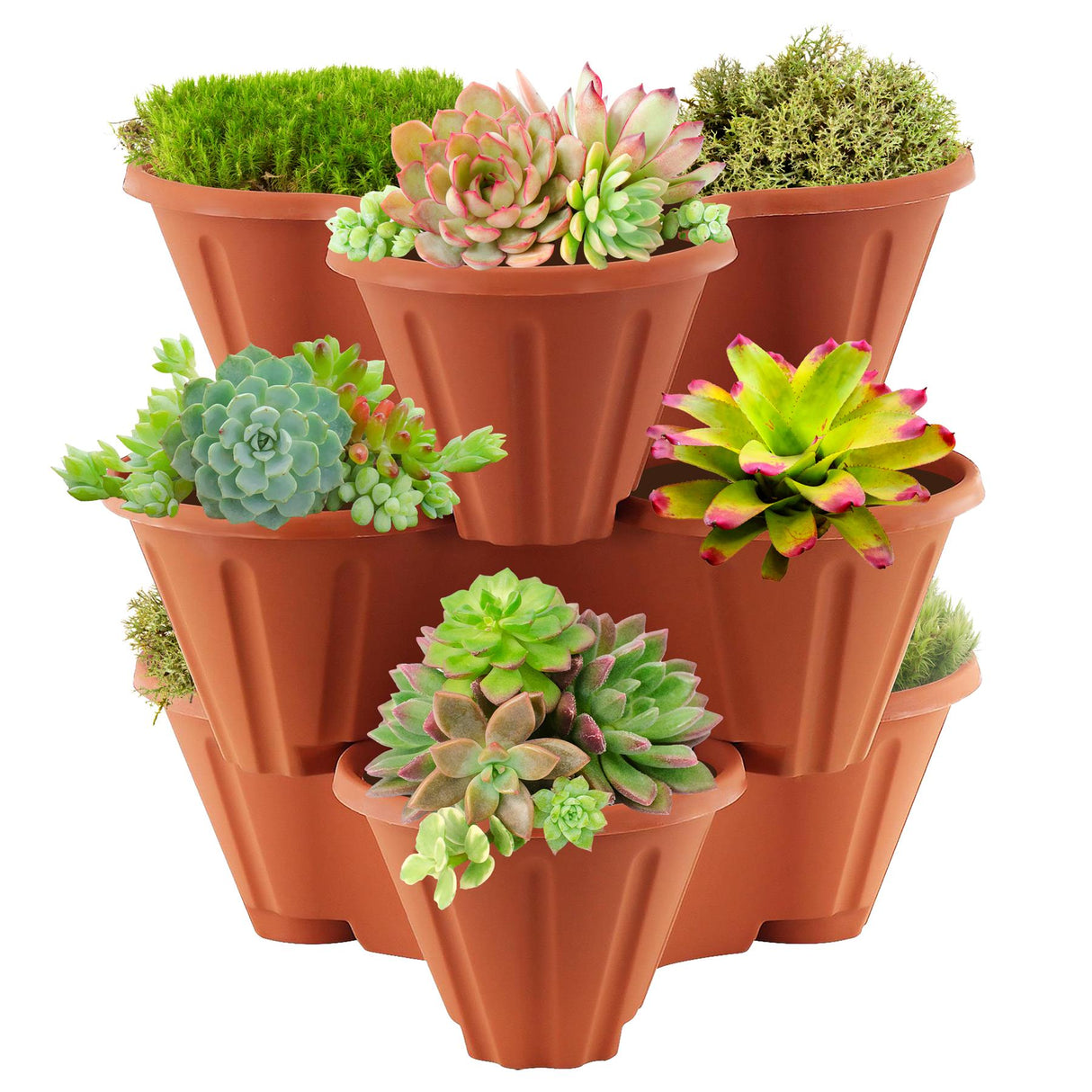 "Four stackable pots with succulents and a cactus, set of four, garden supplies." - UKBuyZone