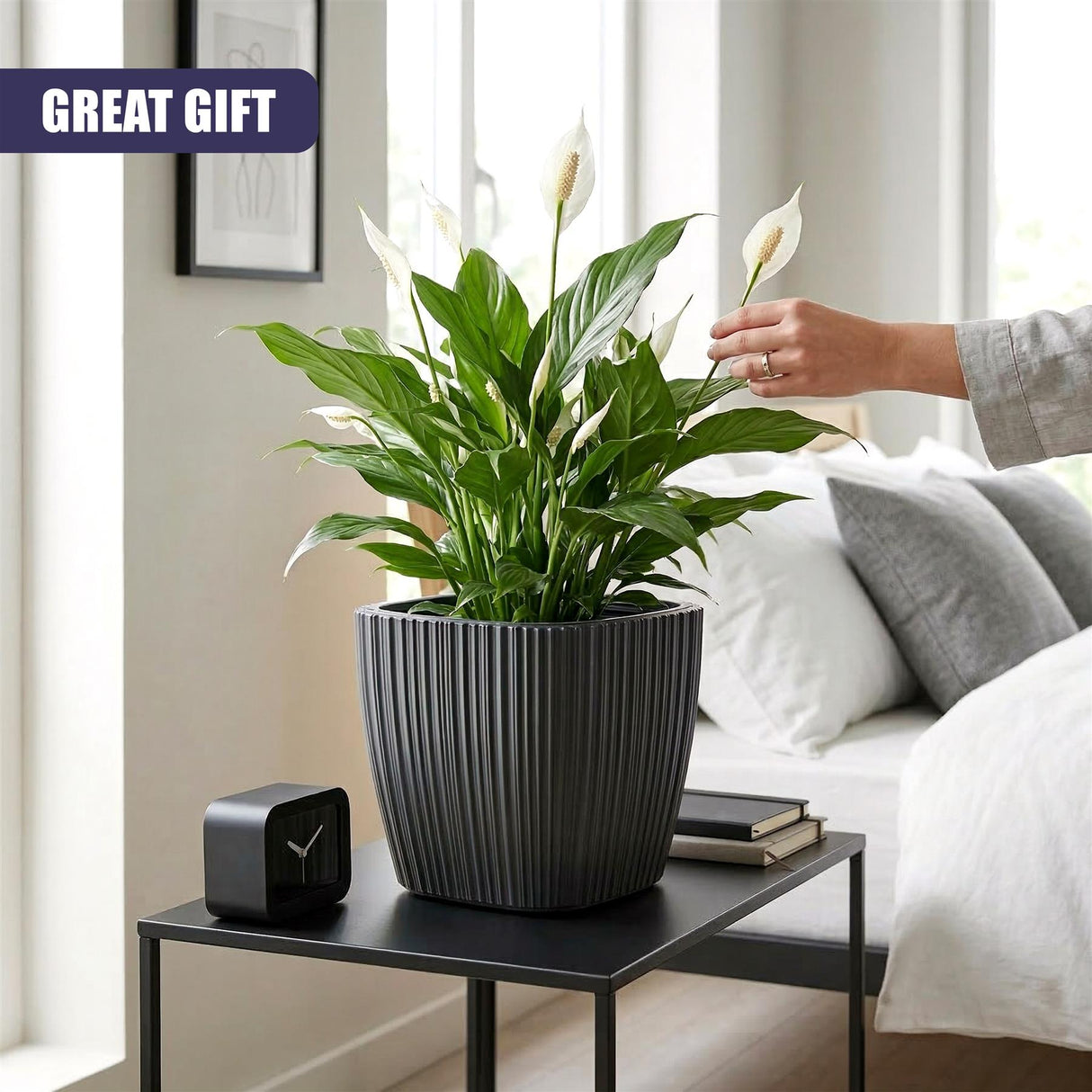The ribbed black pot holds a vibrant green houseplant, resting on a dark side table.