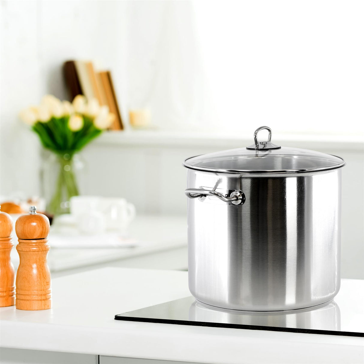 Stainless Steel Stock Pot with Glass Lid - 15 L