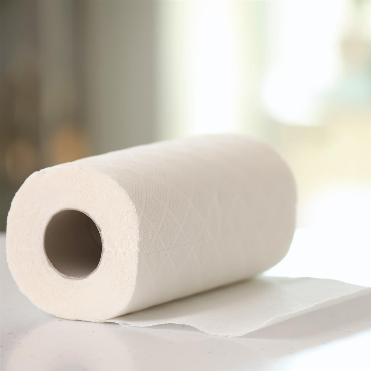 Kitchen Towel Roll 2-Ply by GEEZY - UKBuyZone