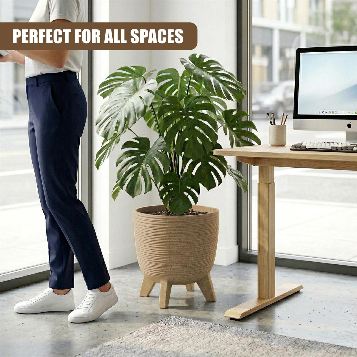 Woven, natural beige pot with legs displaying a lush, tropical houseplant on a light wooden table.