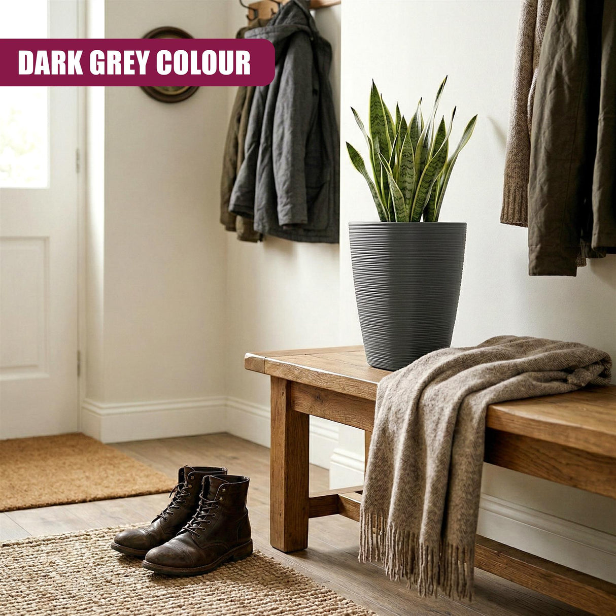 Tall, dark grey planter pot featuring a vibrant snake plant sitting on a natural wooden bench.