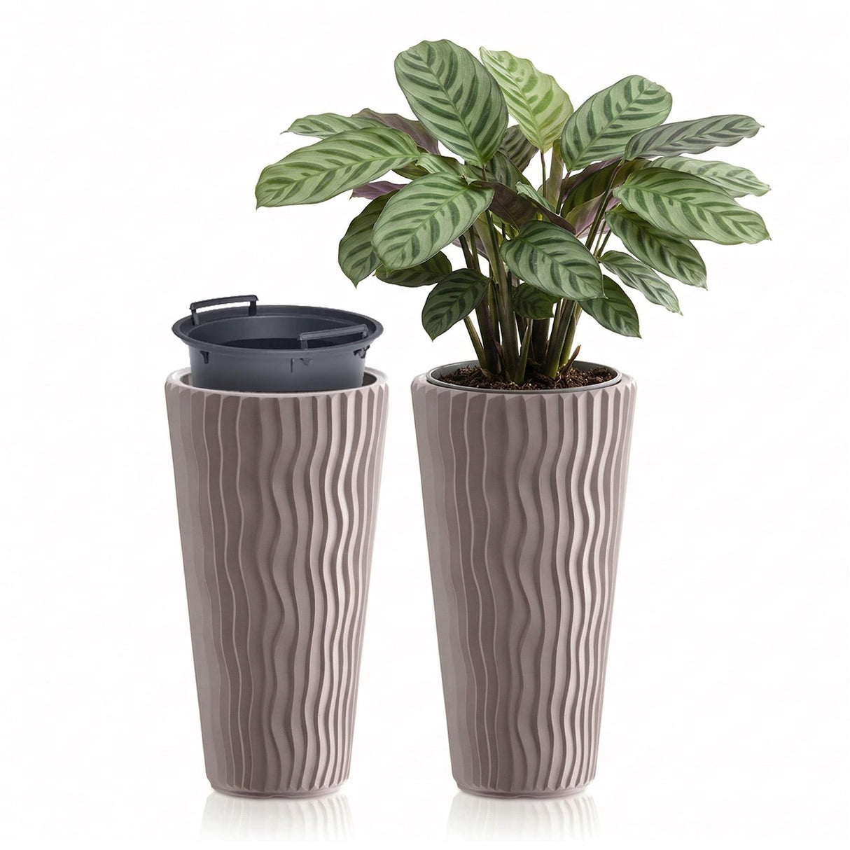 Two textured brown planters. One pot contains a healthy variegated plant, while the matching pot is empty and ready for planting.