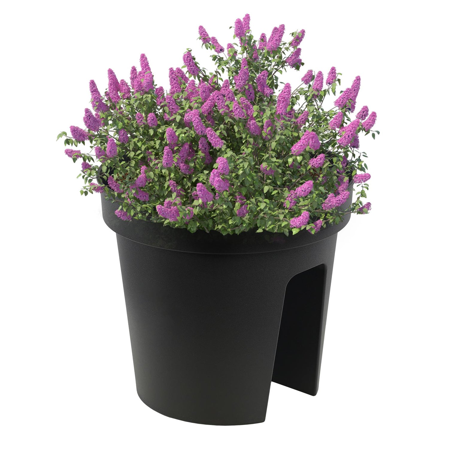Flower Bridge Hanging Planter Round Pot by GEEZY - UKBuyZone