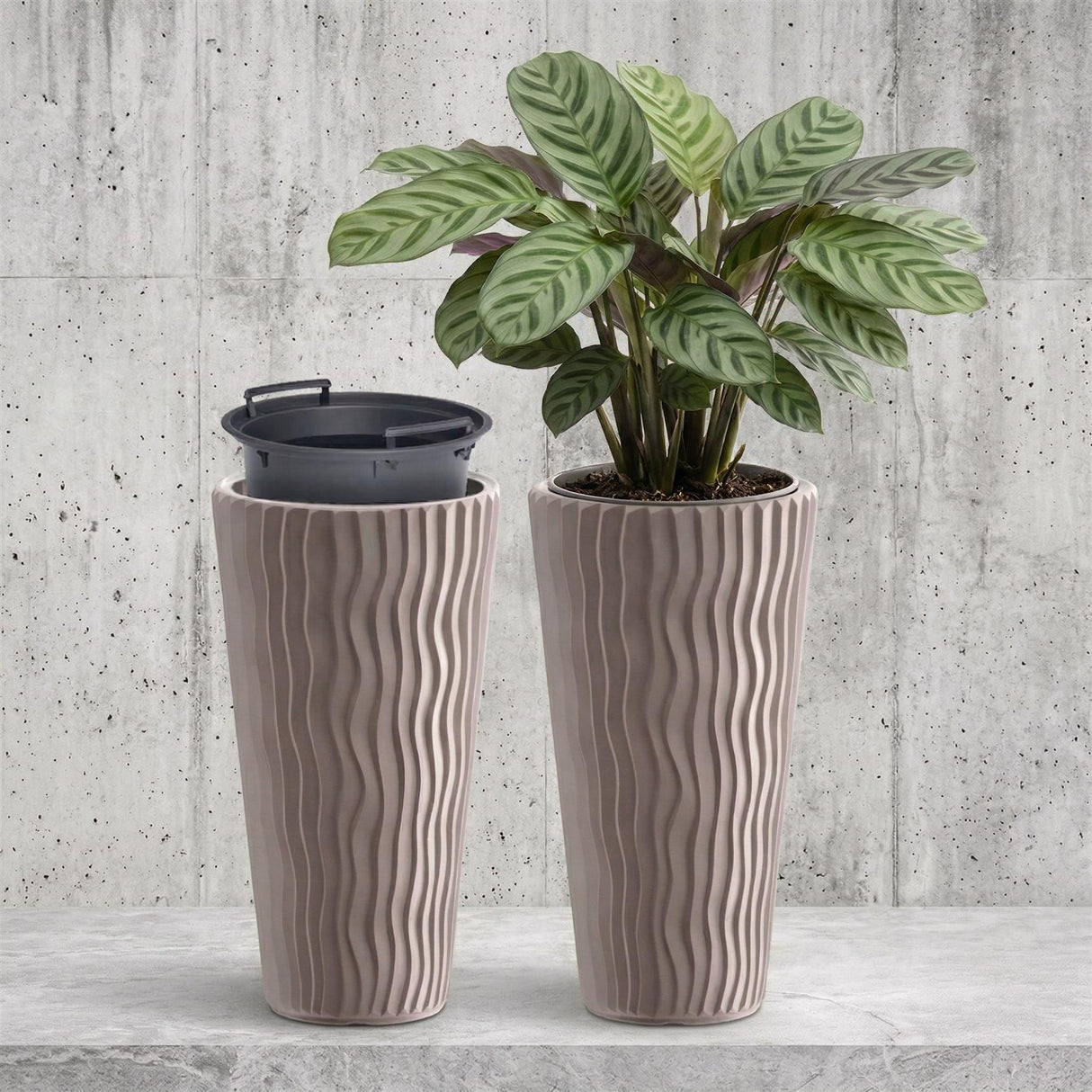Two tall, ribbed brown planters are shown, one holding a variegated green houseplant.