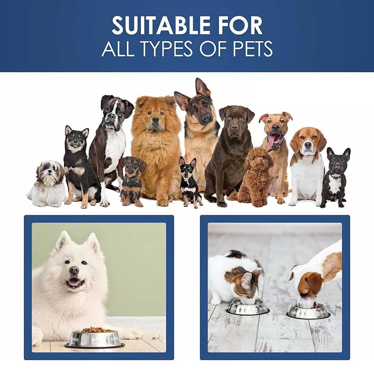 Stainless Steel Dog Bowl by GEEZY - UKBuyZone