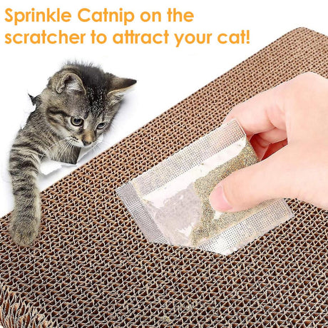 Cat Box Scratching Pad With Catnip & Toy Ball by GEEZY - UKBuyZone
