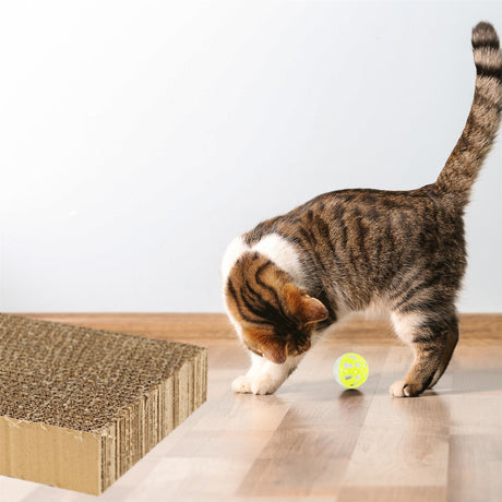 Cat Box Scratching Pad With Catnip & Toy Ball by GEEZY - UKBuyZone