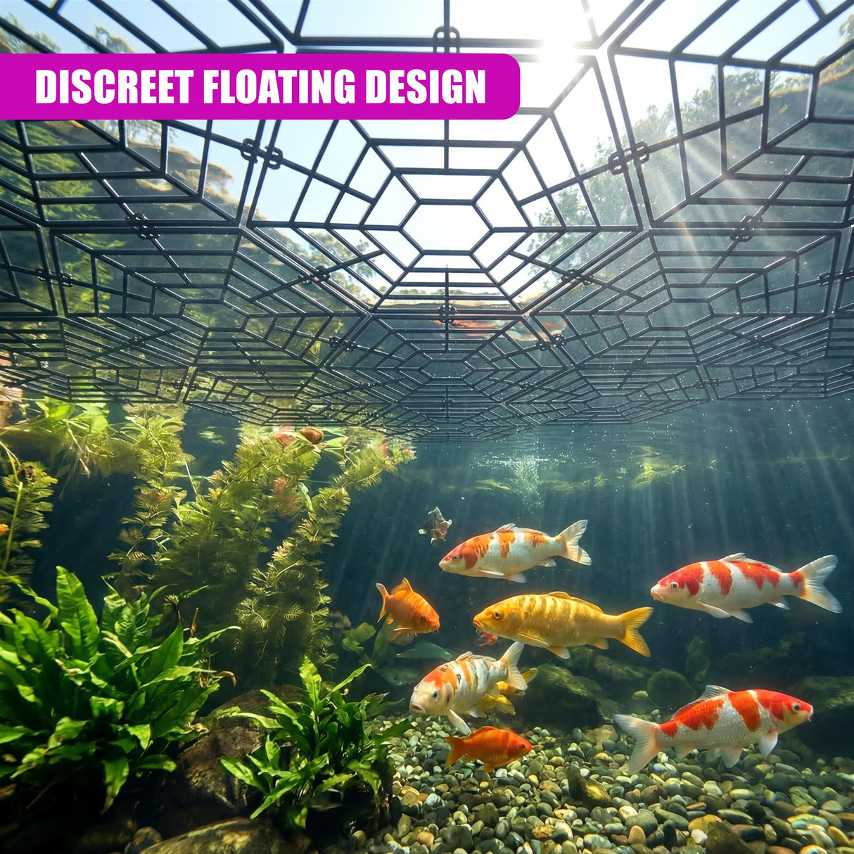 Geometric mesh panel floats over aquatic plants, rocks, and several colorful fish.