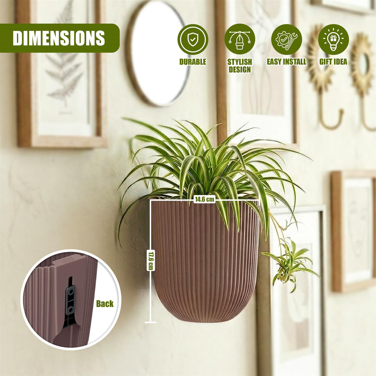 Dark brown ribbed planter holding a leafy green plant mounted on a wall near framed pictures.