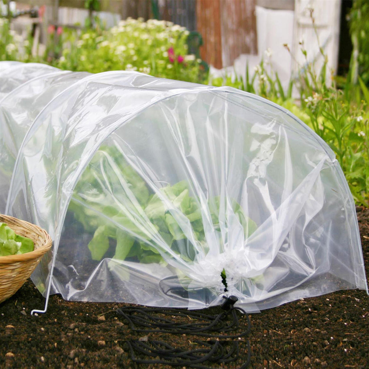 Greenhouse Polytunnel by Geezy - UKBuyZone
