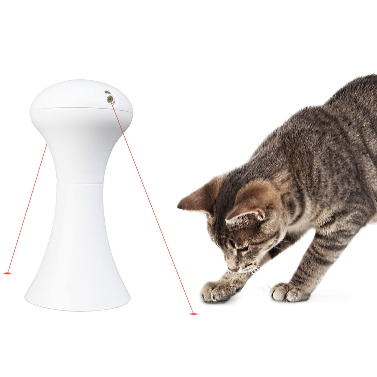 Cat Laser With Auto Switch Off & 360° Rotating Laser by GEEZY - UKBuyZone