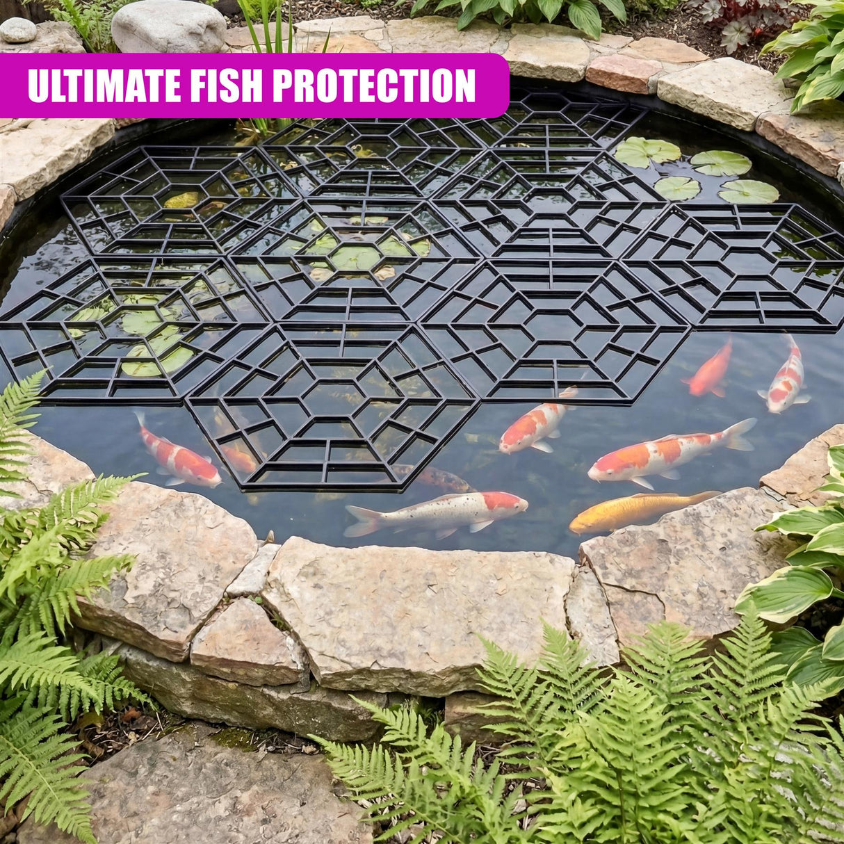 Geometric black grid floats on a pond, allowing visibility of fish and surrounding aquatic plants.
