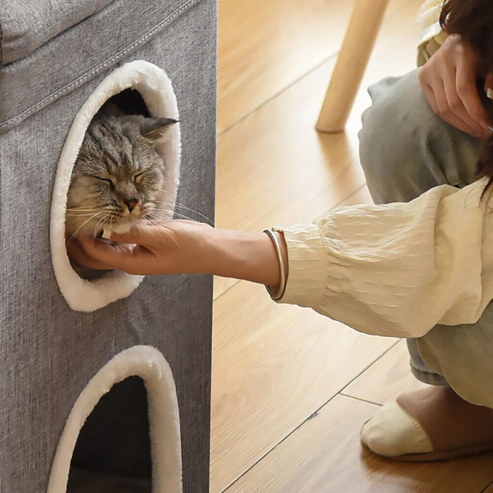 "Person feeding cat from house in a cozy living room setting." - UKBuyZone