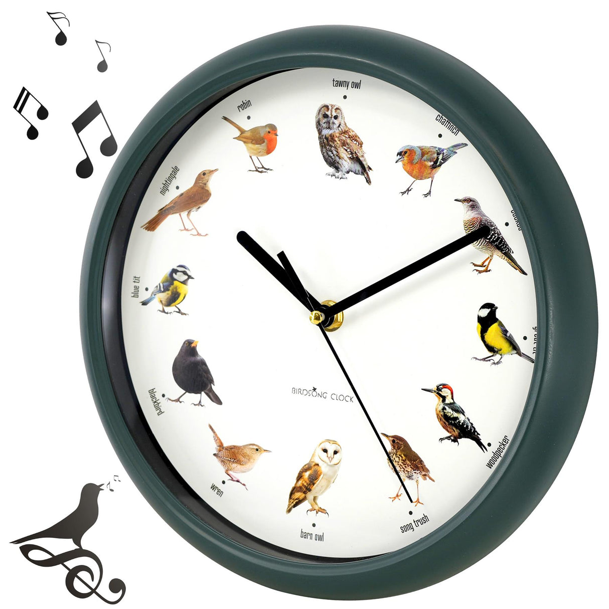 Birdsong Wall Clock with 12 Songs by GEEZY - UKBuyZone