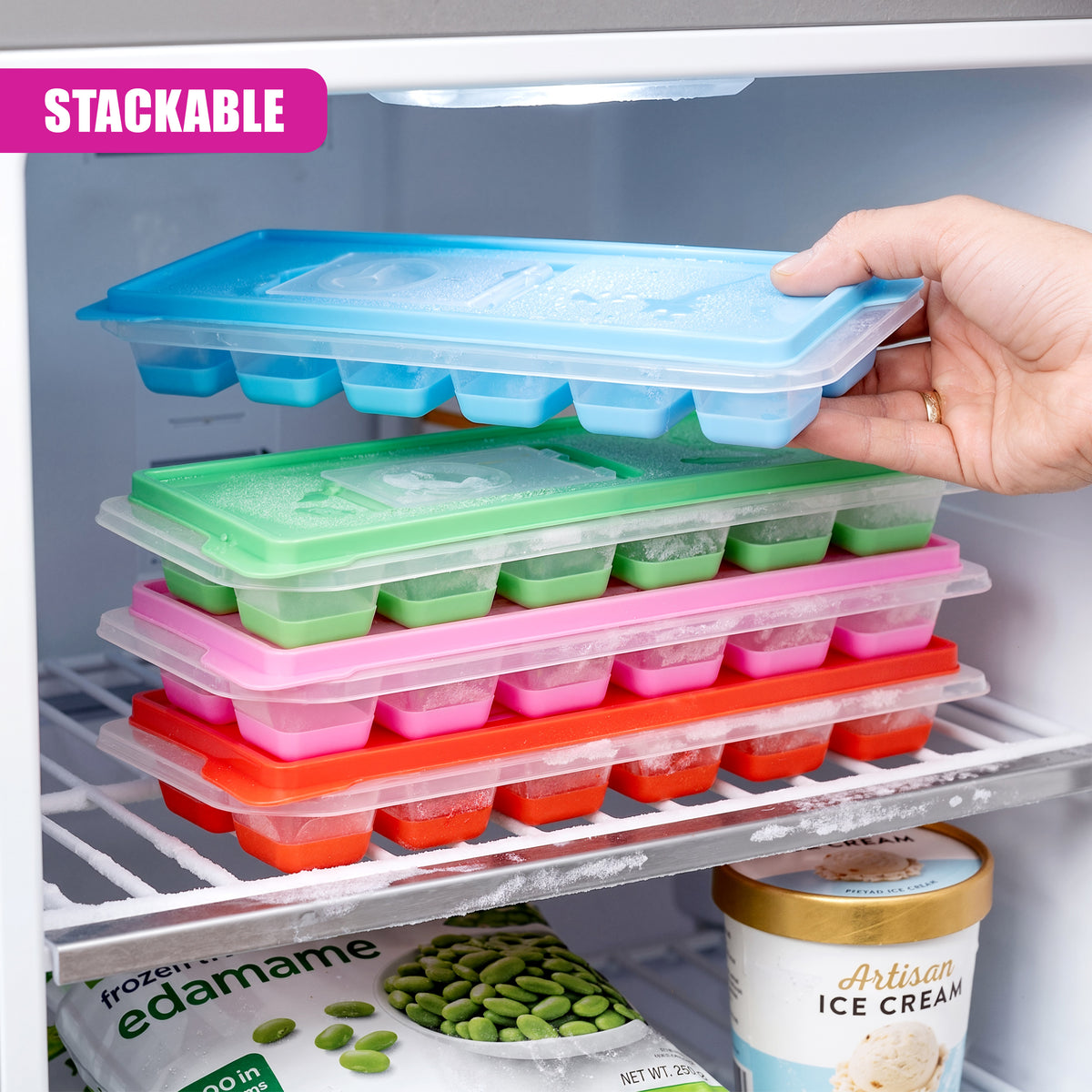 Ice Cube Trays with Lids