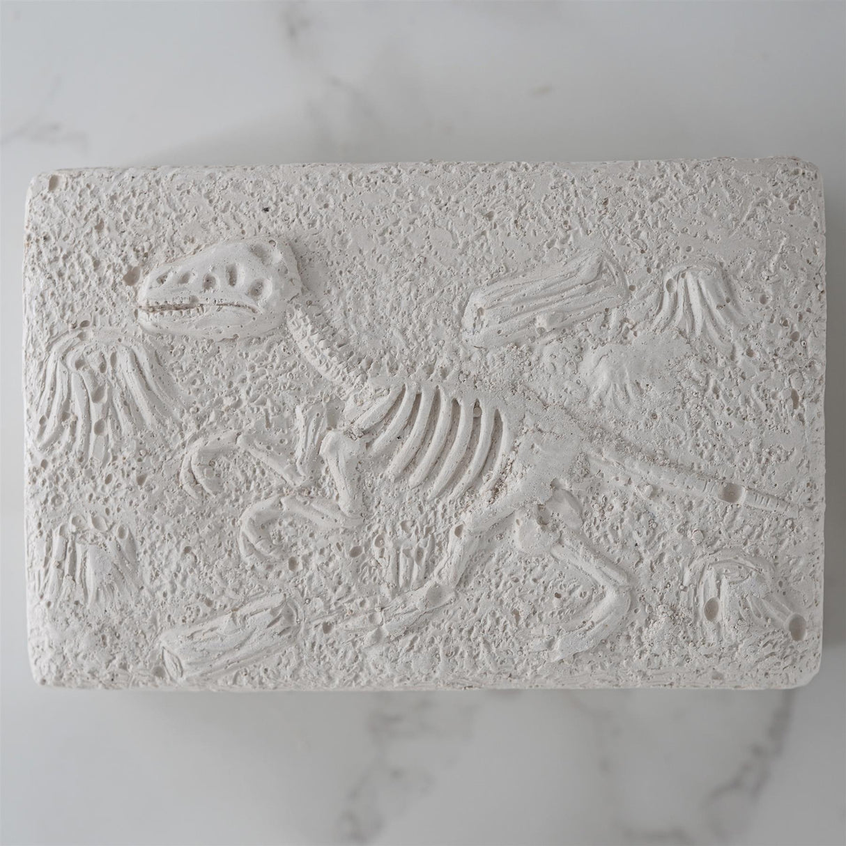 Dinosaur Fossils Digging Kit by The Magic Toy Shop - UKBuyZone