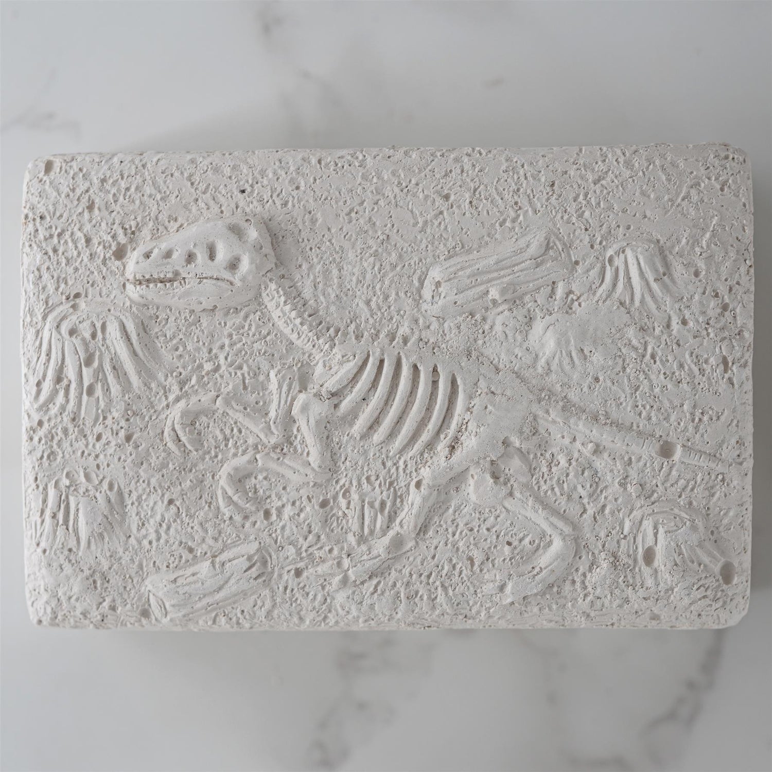Dinosaur Fossils Digging Kit by The Magic Toy Shop - UKBuyZone