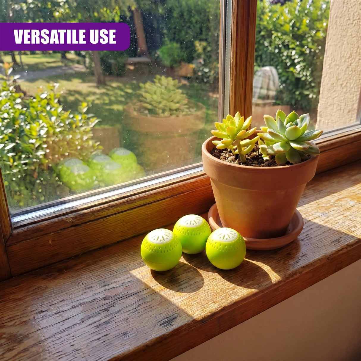 Three perforated green balls and a small potted succulent sit on a wooden windowsill.
