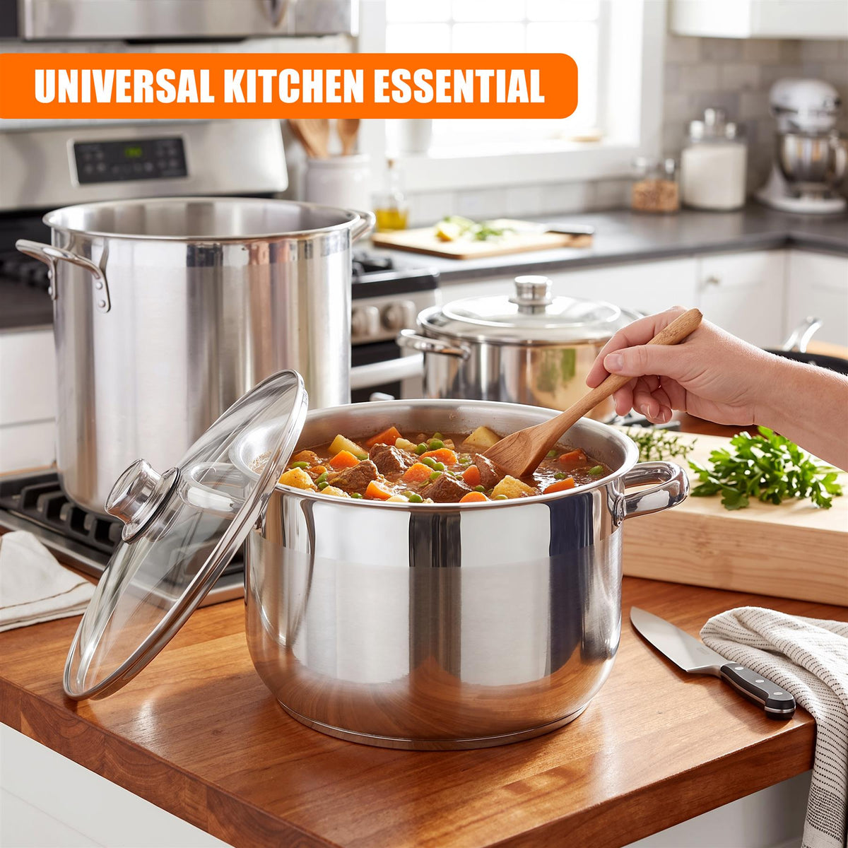 Stainless Steel Stock Pot with Lid - 11.5 L
