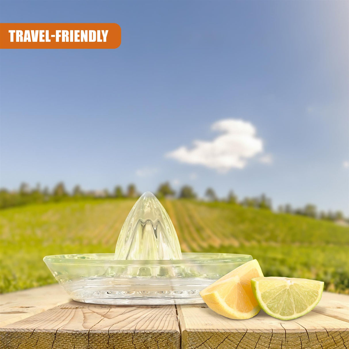 Glass Citrus Juicer by GEEZY - UKBuyZone