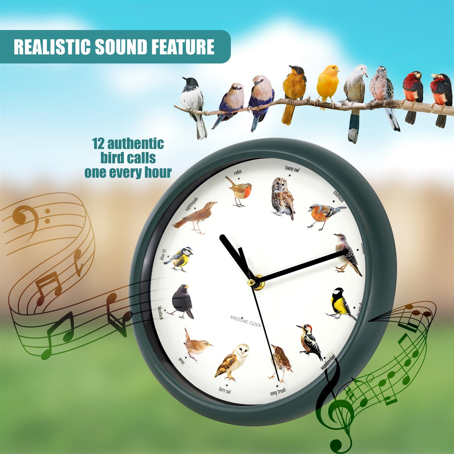 Birdsong Wall Clock with 12 Songs by GEEZY - UKBuyZone