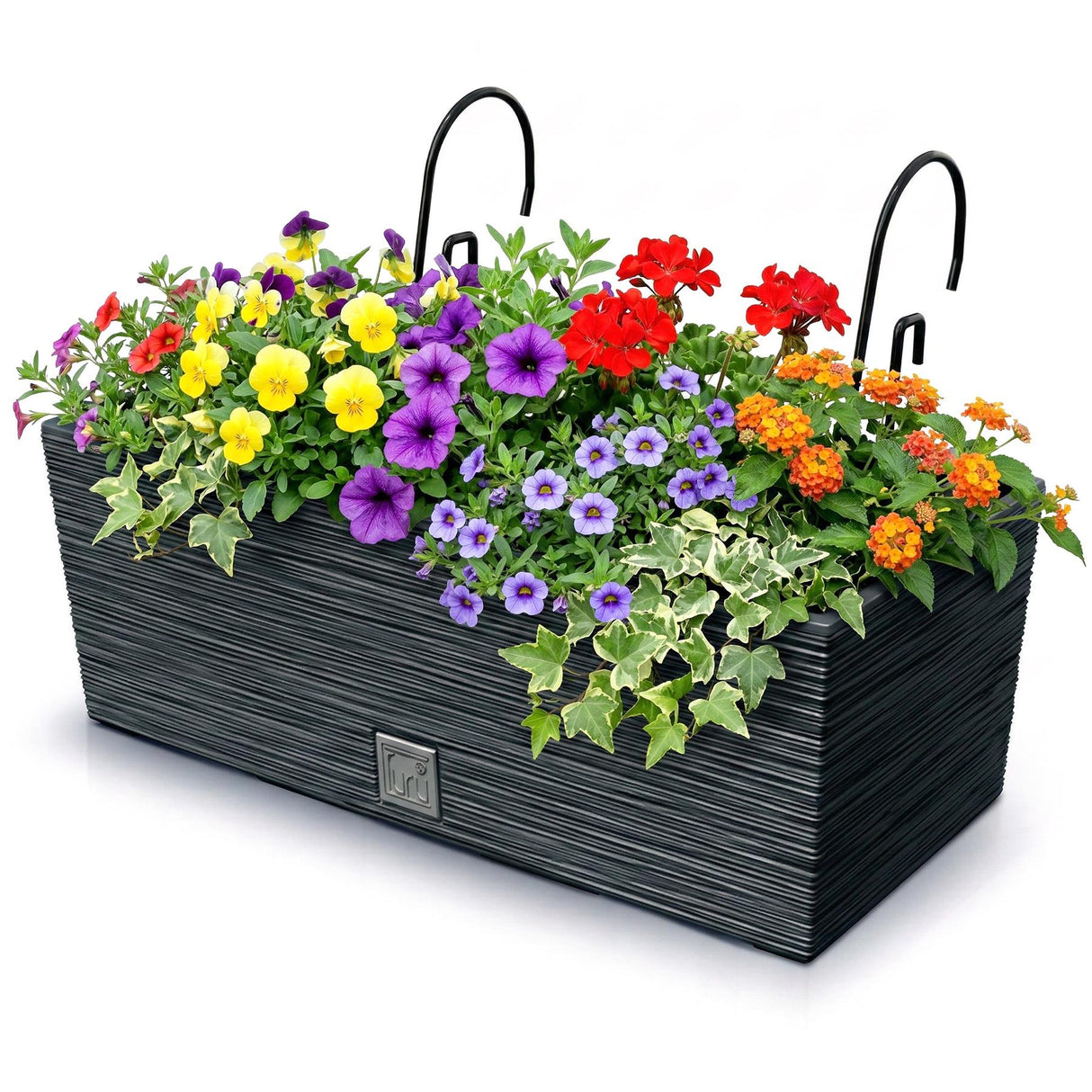 Black rectangular planter box filled with colorful flowers, greenery, and two curved hangers.