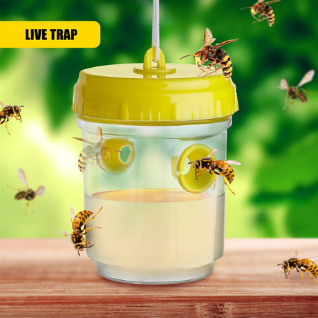 Wasp Trap - Set of 2 by GEEZY - UKBuyZone