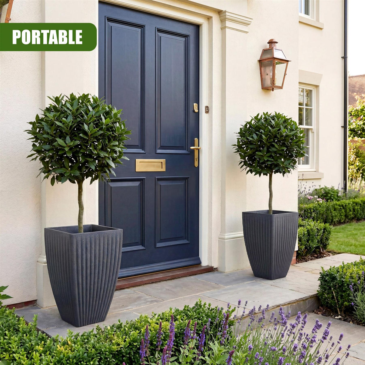 Two large, textured dark gray pots flank a blue door and house small, trimmed topiaries.