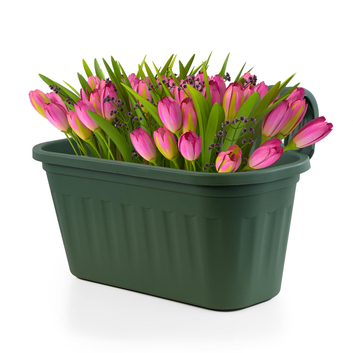 "A vibrant green bucket brimming with pink tulips and purple flowers, ready to bloom." - UKBuyZone