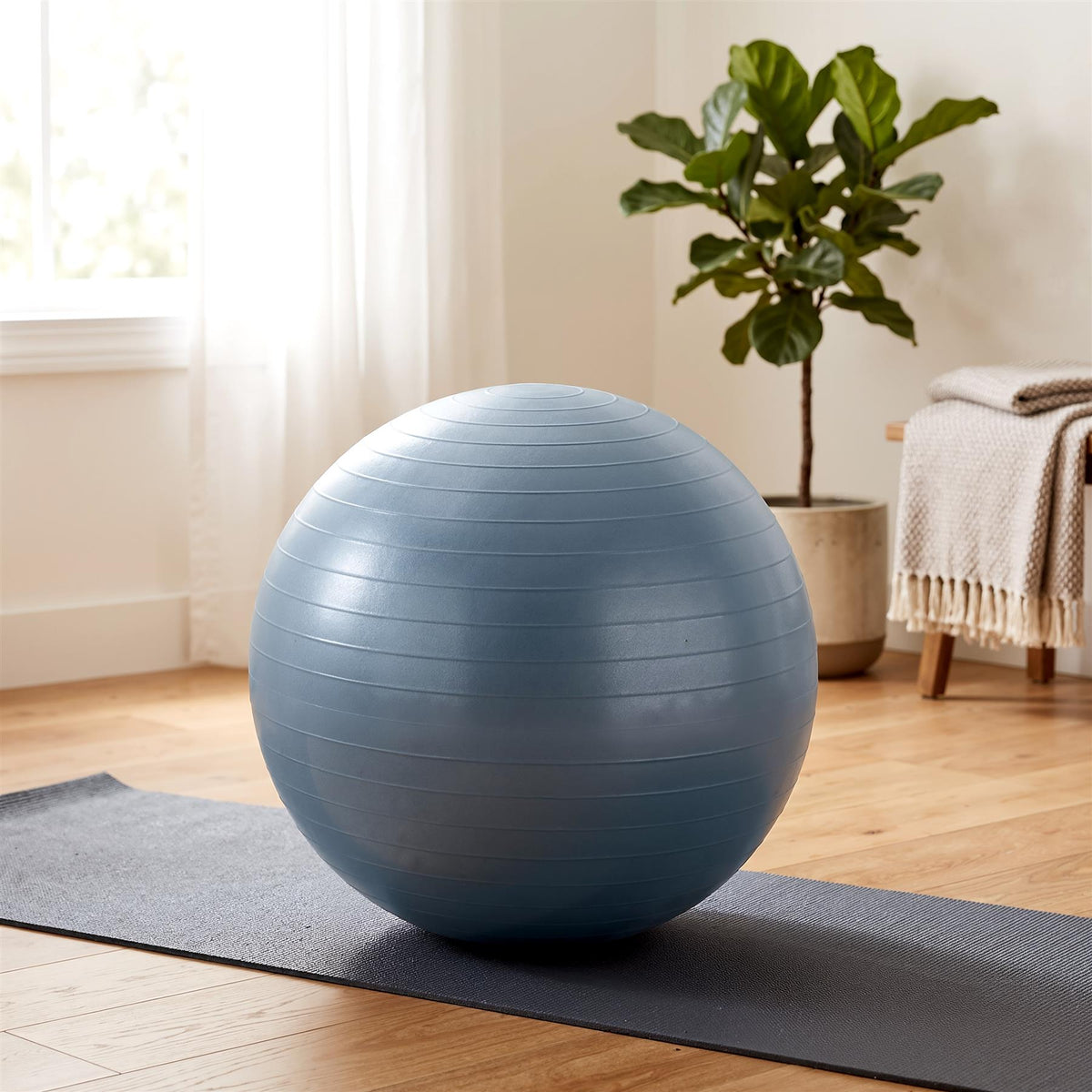 Inflatable Exercise Ball