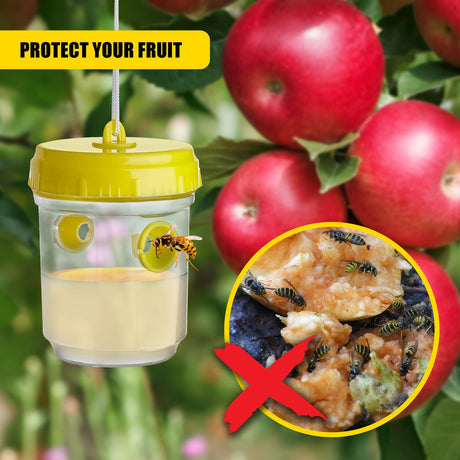 Wasp Trap - Set of 2 by GEEZY - UKBuyZone