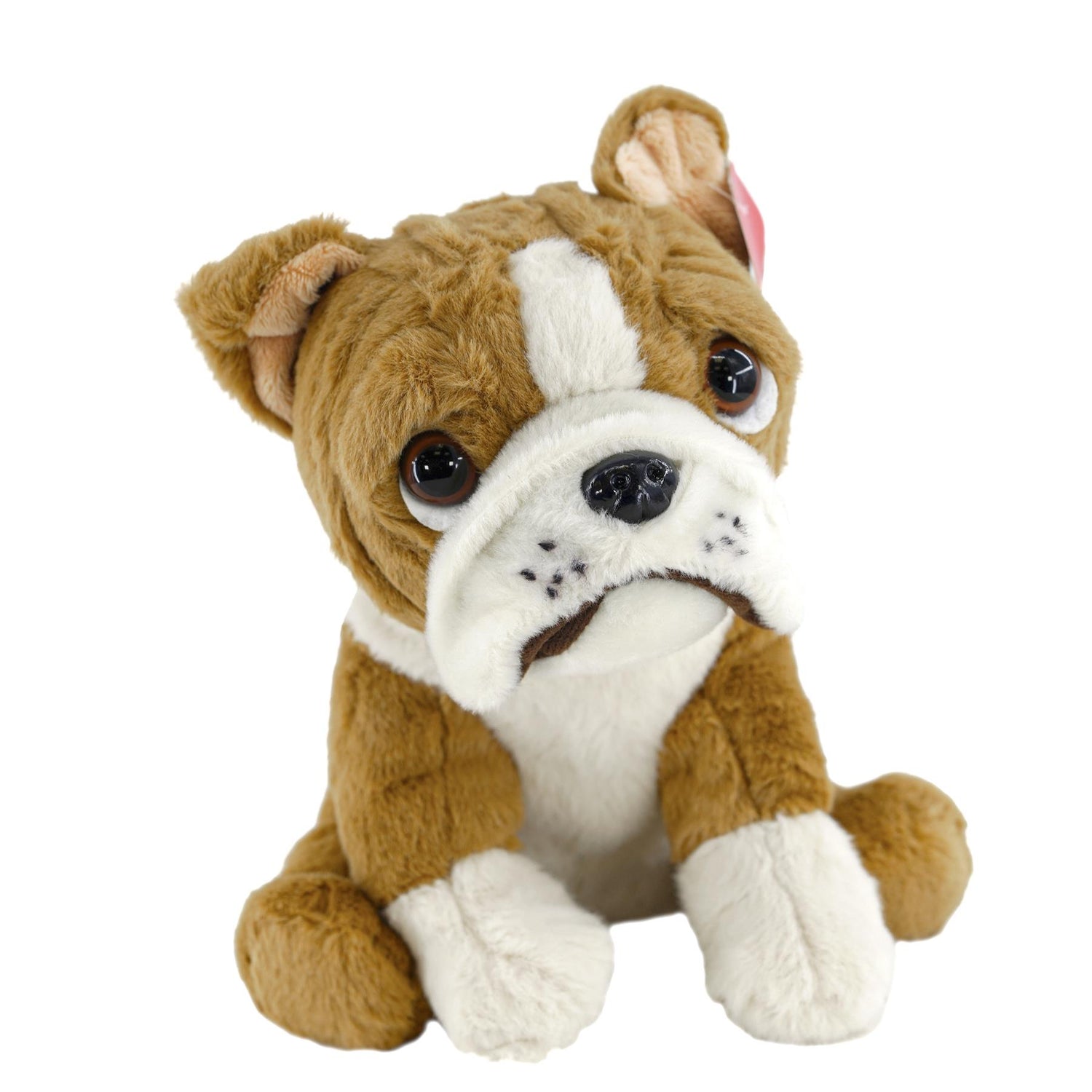 Small Sitting English Bulldog Soft Toy by The Magic Toy Shop - UKBuyZone