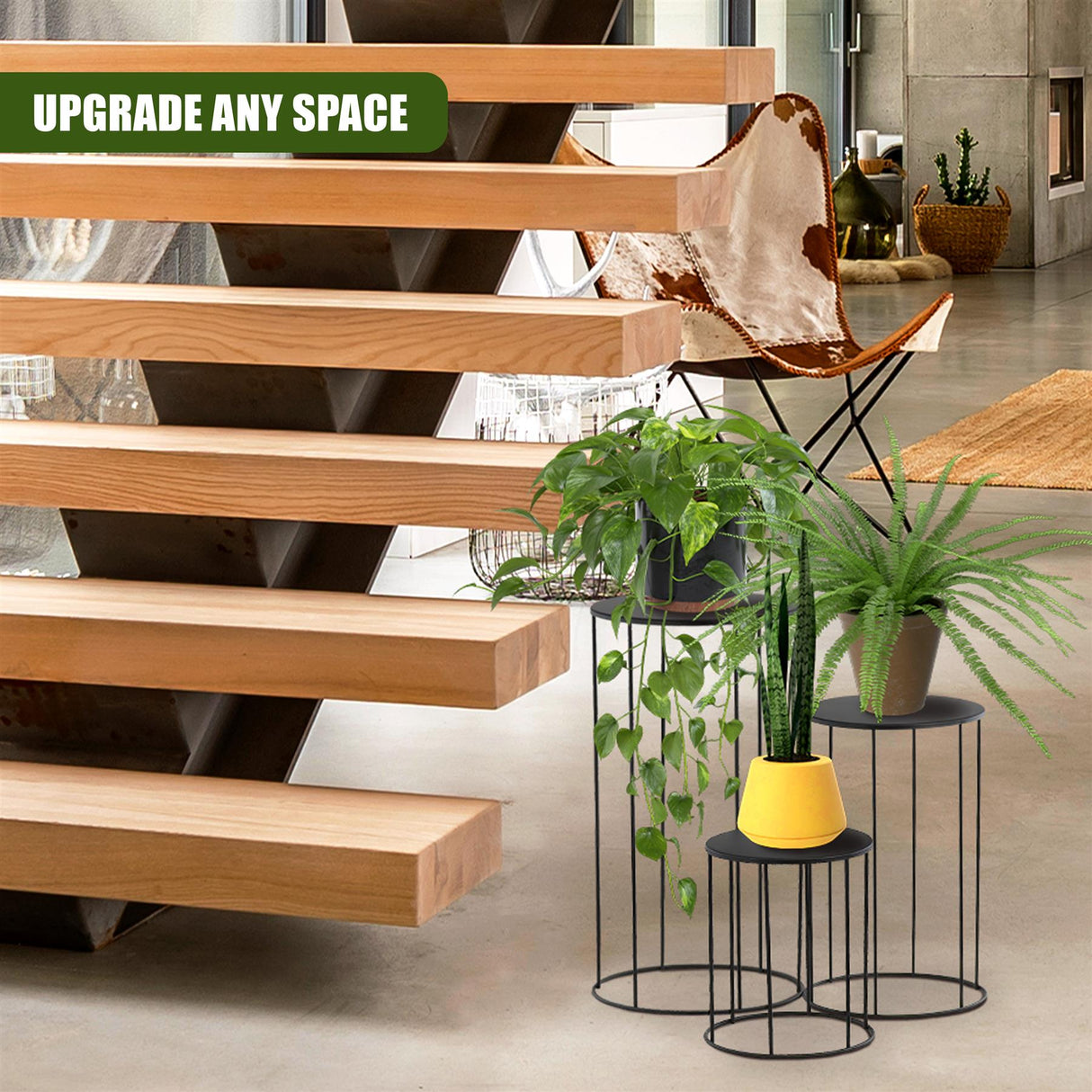 A set of three black metal plant stands holding various potted indoor plants.