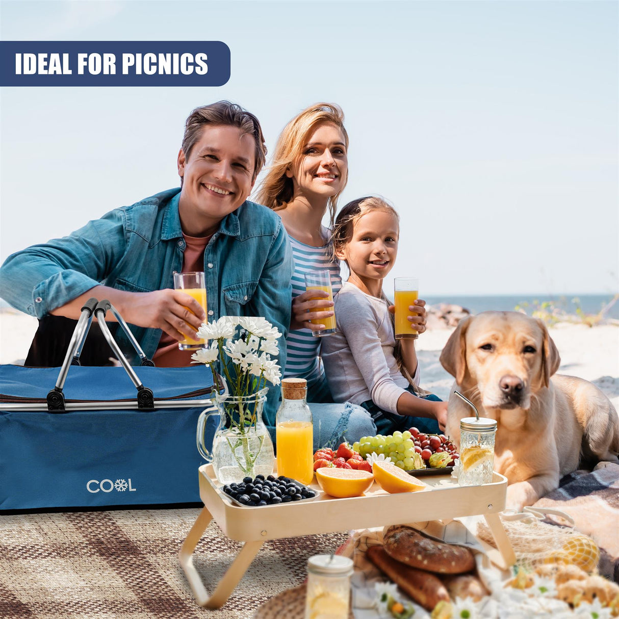 Navy Cooler Basket Bag by Geezy - UKBuyZone