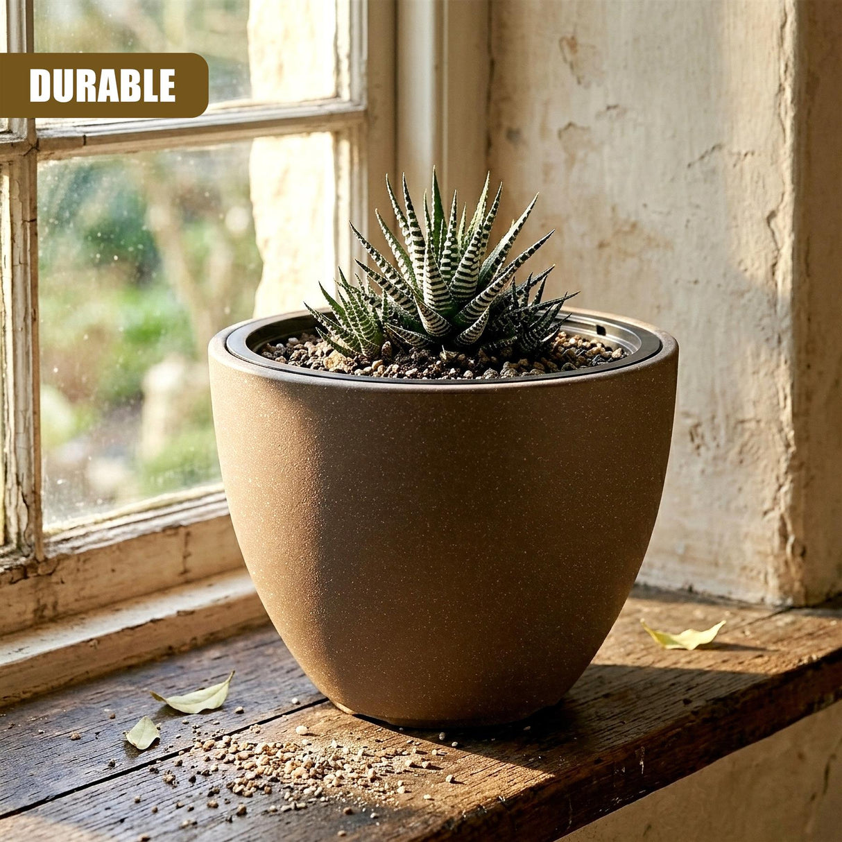 Large brown oval pot containing small succulents rests on a weathered wooden windowsill.