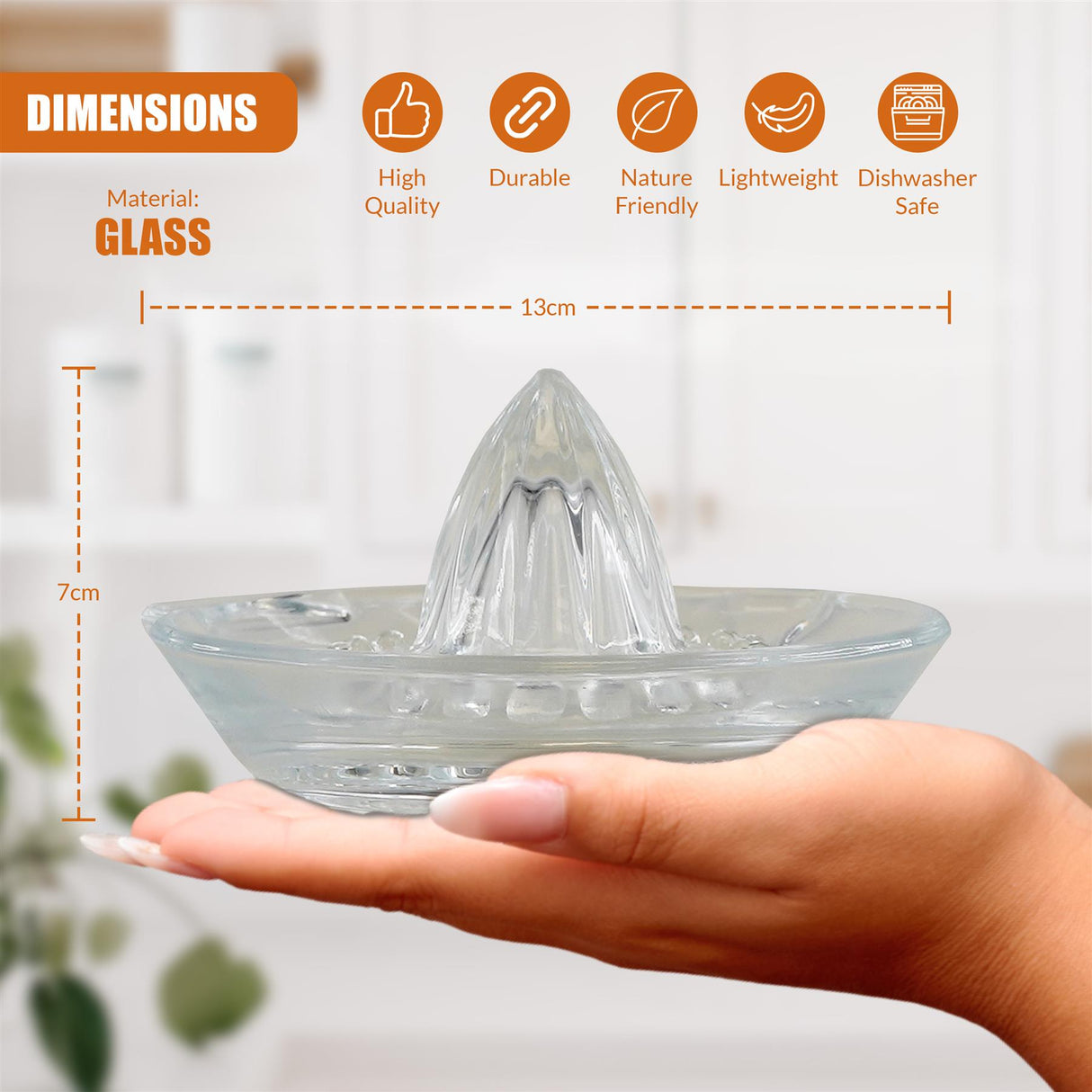 Glass Citrus Juicer by GEEZY - UKBuyZone