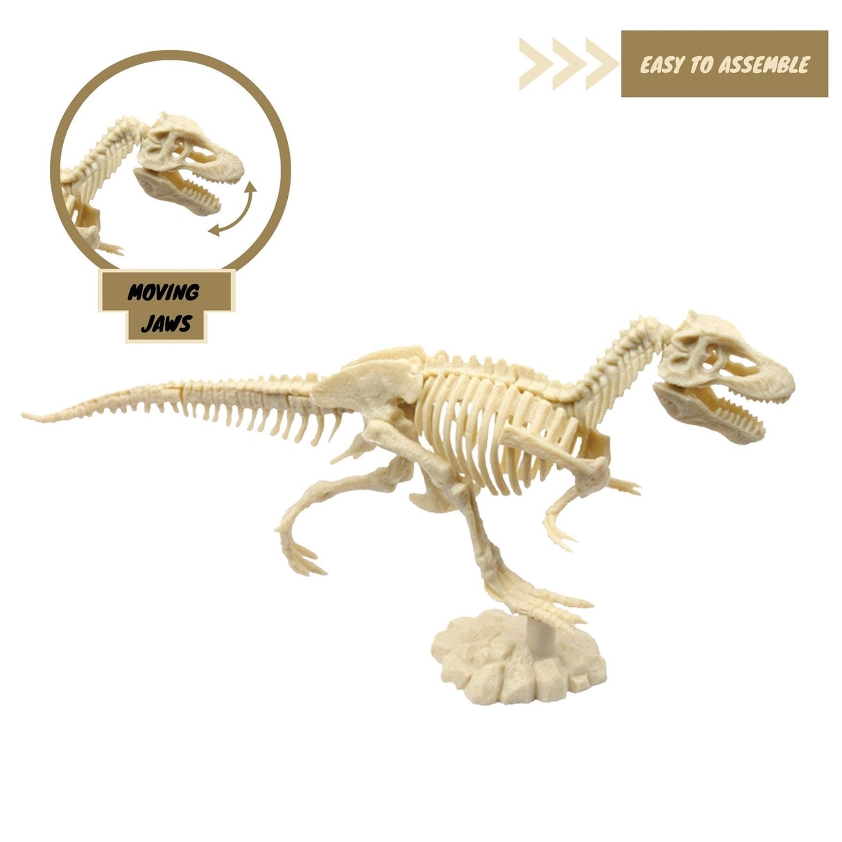 Model skeleton of a dinosaur alongside diagrams illustrating moving jaws and assembly instructions.