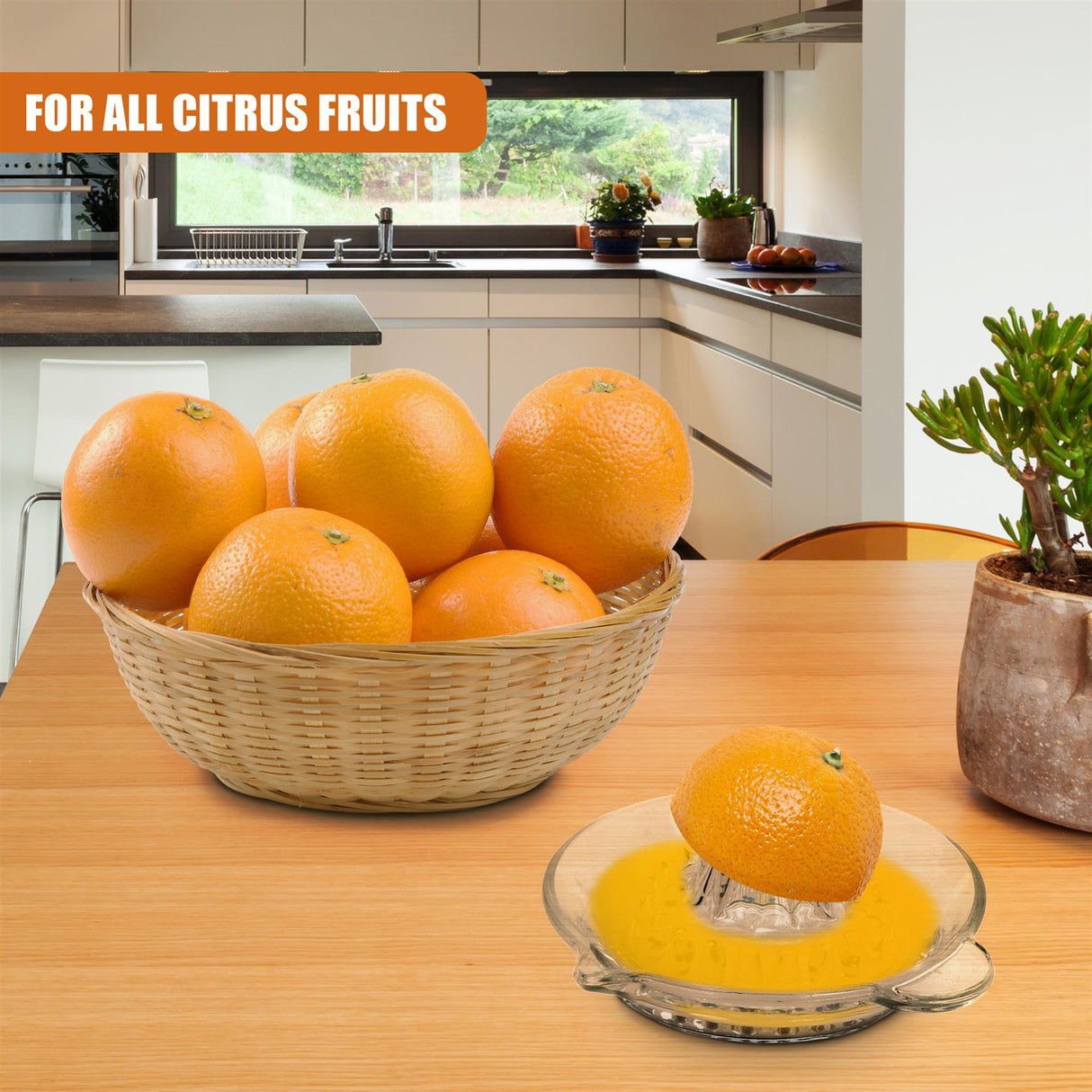 Glass Citrus Juicer by GEEZY - UKBuyZone