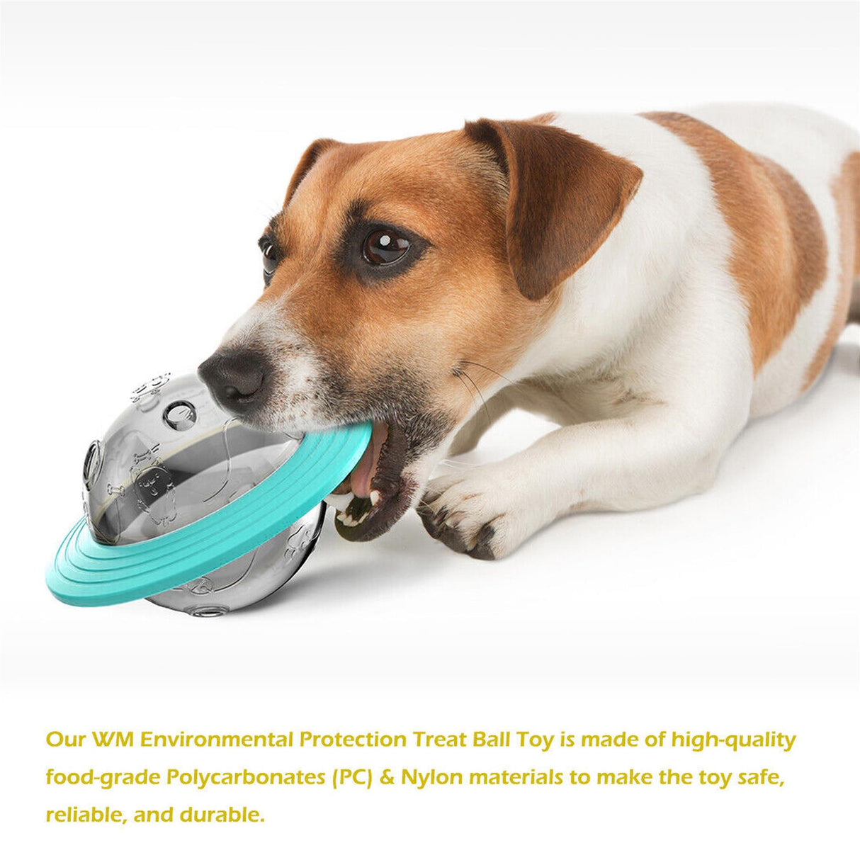 Pet Treat Dispenser Ball Toy
