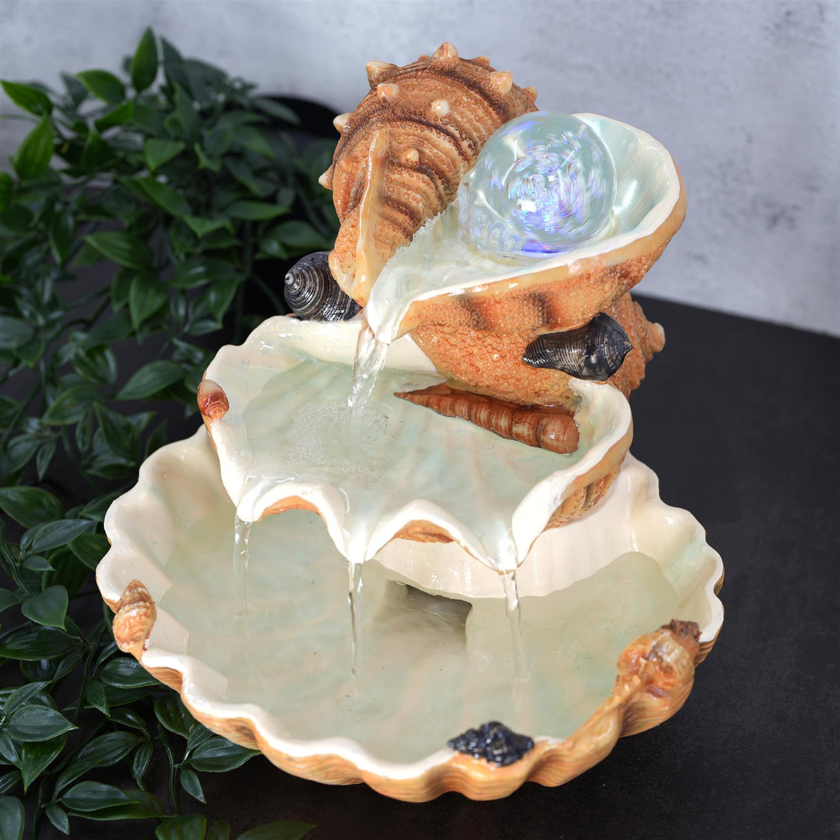 Clam Shell Water Feature Indoor With LED by GEEZY - UKBuyZone