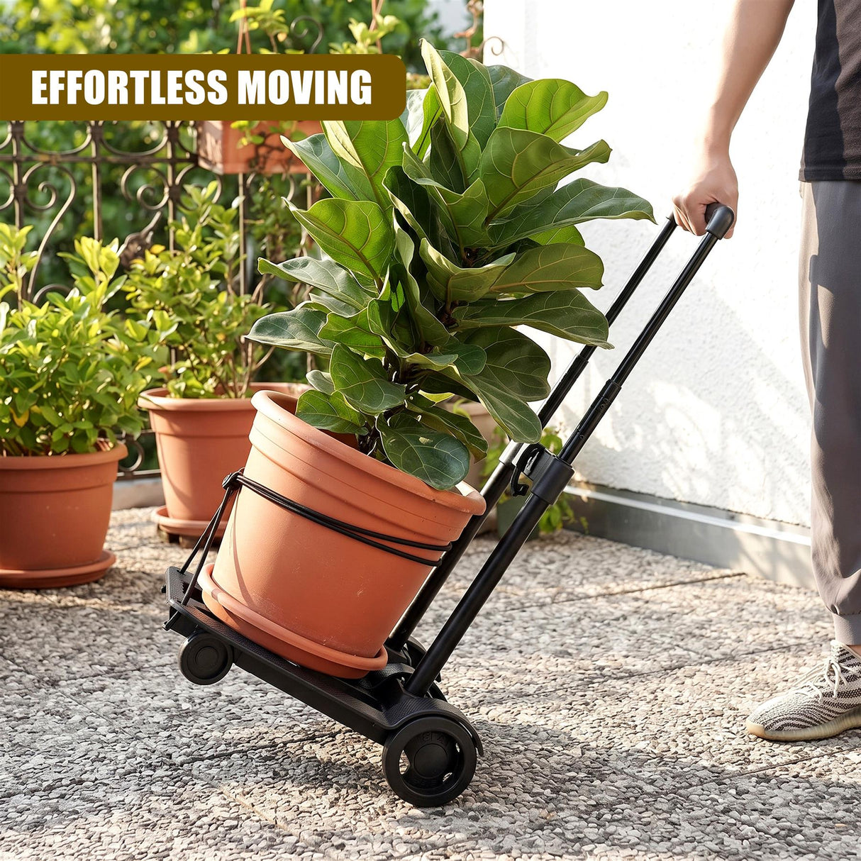 Folding Hand Truck