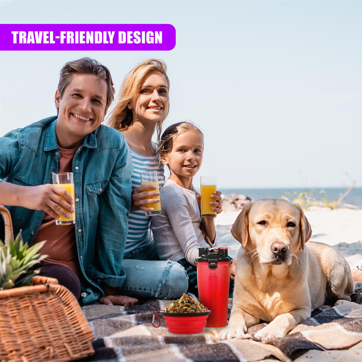 Foldable Bowl and Water Bottle Set for Pets by Geezy - UKBuyZone