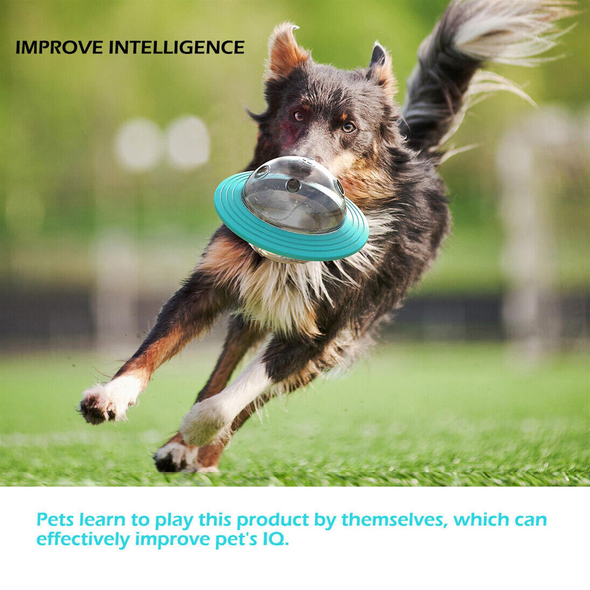 Pet Treat Dispenser Ball Toy