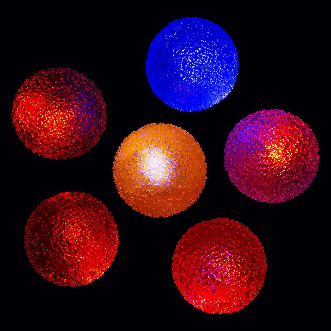 Flashing Rubber Bouncy Ball by The Magic Toy Shop - UKBuyZone