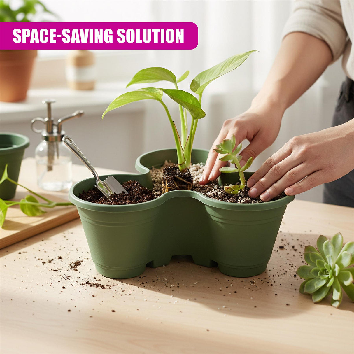 Hands pot small plants into a segmented, space-saving dark green planter on a table.