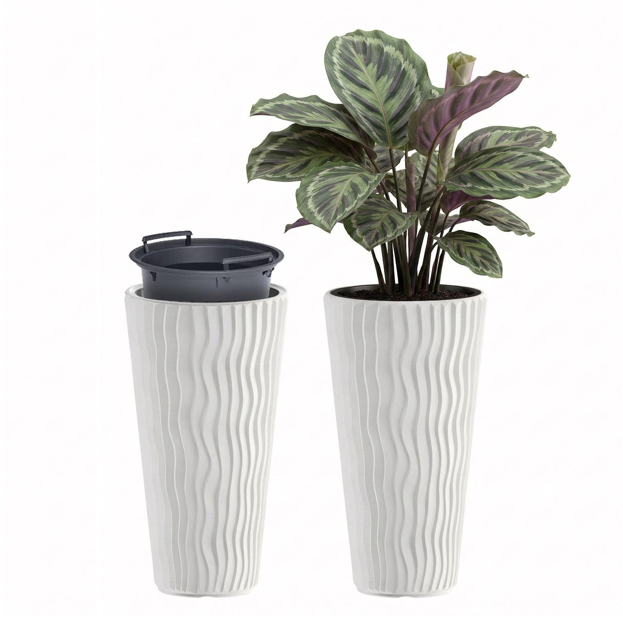 Two tall, white ribbed planters—one empty and one containing a variegated houseplant.