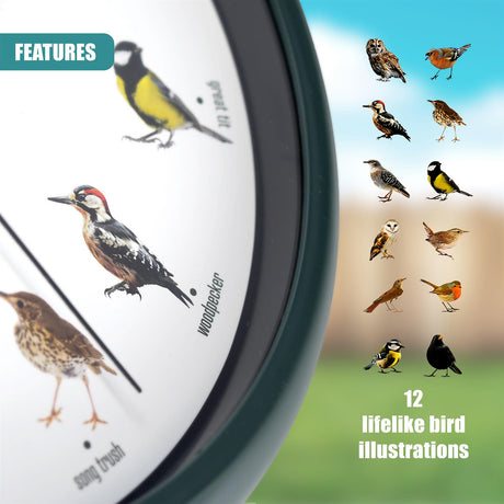 Birdsong Wall Clock with 12 Songs by GEEZY - UKBuyZone