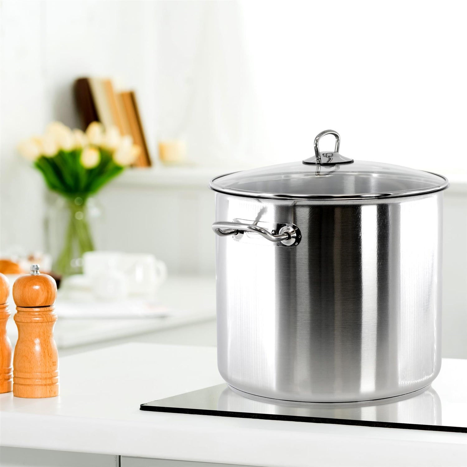 20 Litre Stock Pot With Glass Lid by MTS - UKBuyZone
